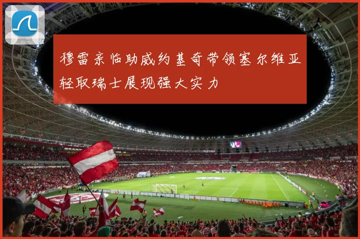 穆雷亲临助威约基奇带领塞尔维亚轻取瑞士展现强大实力